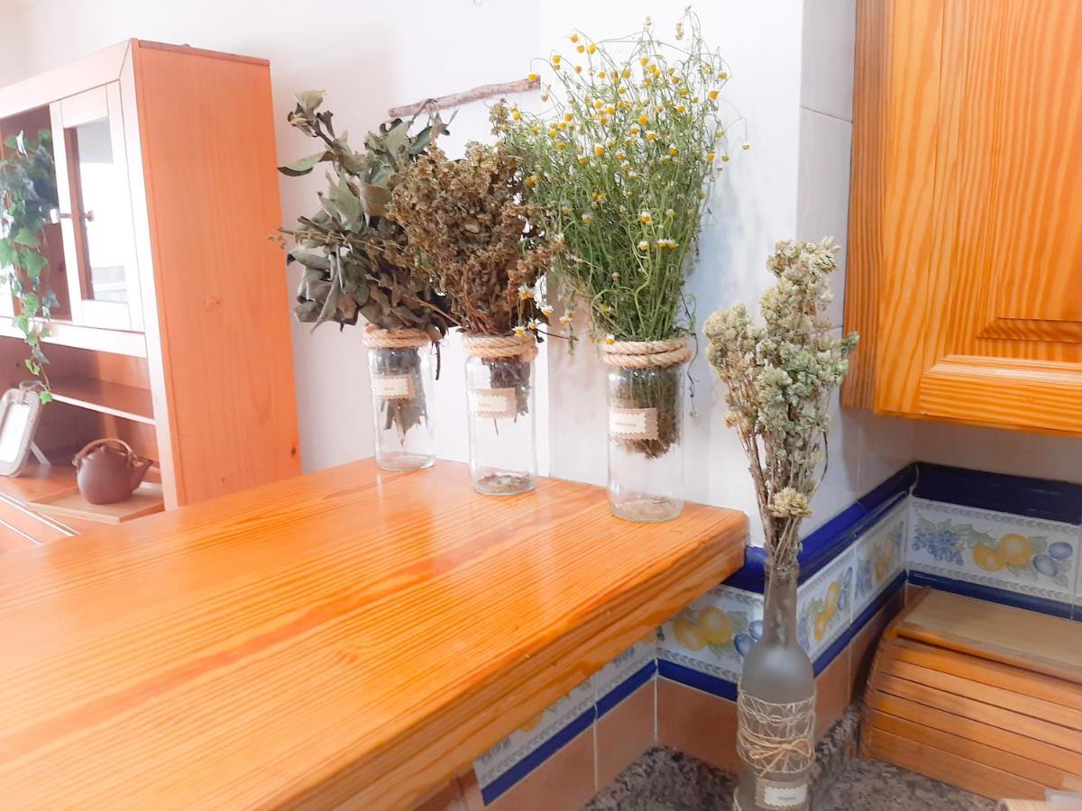 Coast 150 Puerto Apartman Puerto de la Cruz Kültér fotó